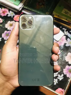 Apple iPhone 11 Pro Max 512 GB Green