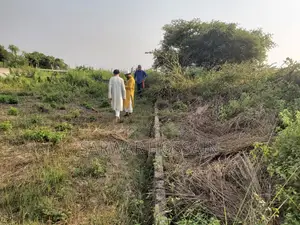 সানরাইজ রোজ গার্ডেনের শেয়ার (সাতারকুল, বাড্ডা)