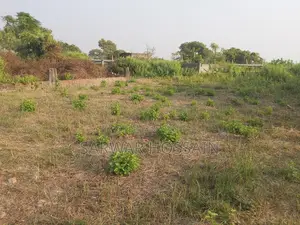 Shares of Sunrise Rose Garden (Shatarkool, Badda)