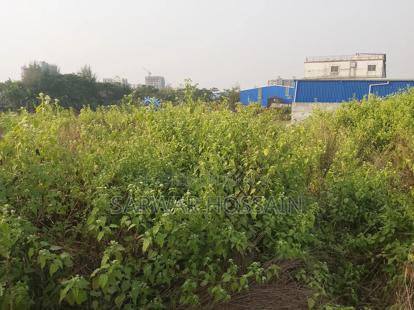 Shares of Sunrise Rose Garden (Shatarkool, Badda)