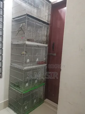 Chaina Cage 10 Piece Folding