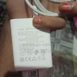 ভিভো অরিজিনাল চার্জার