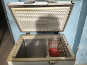 Singer Deep Fridge