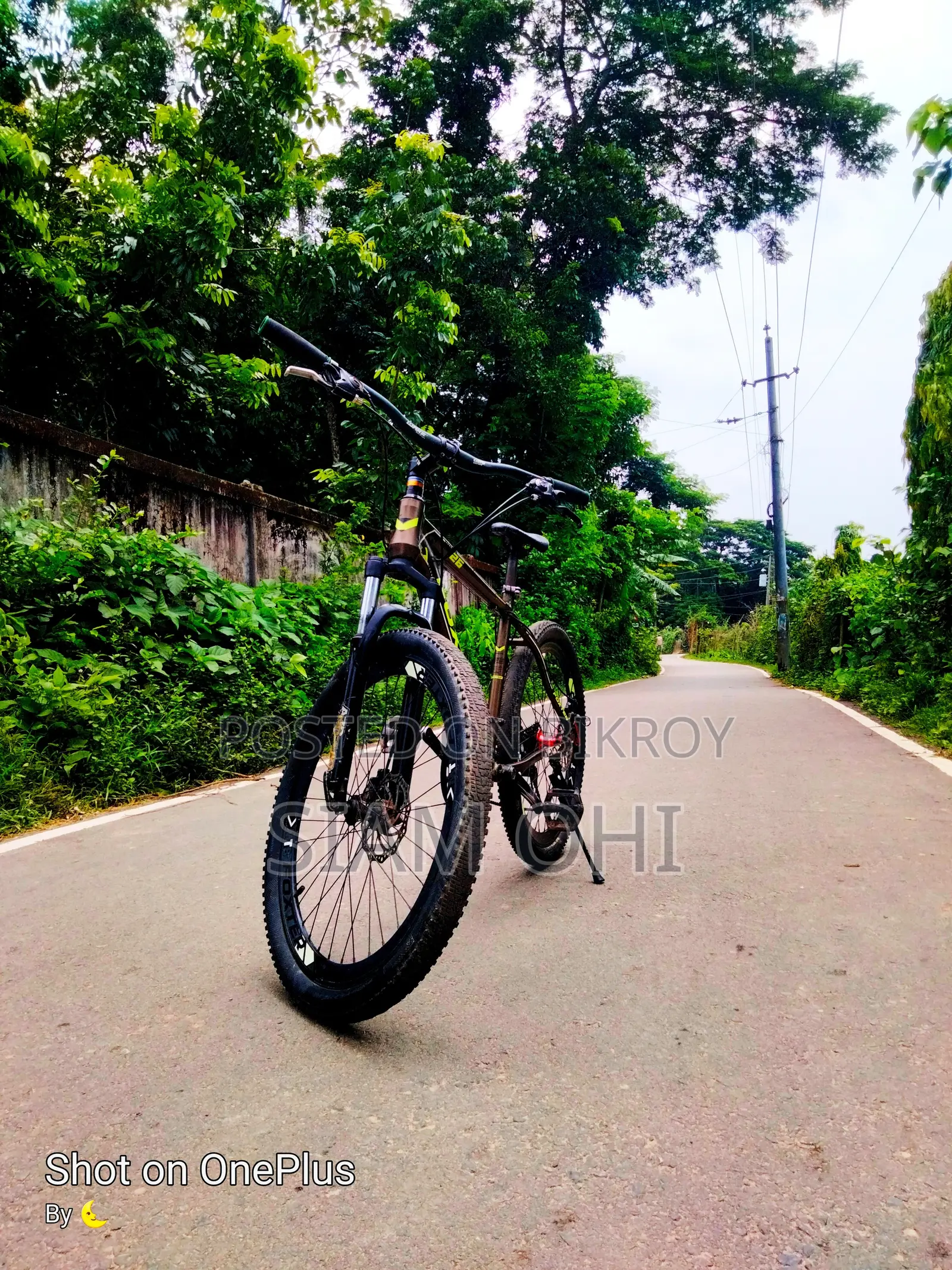 Gear Cycle
