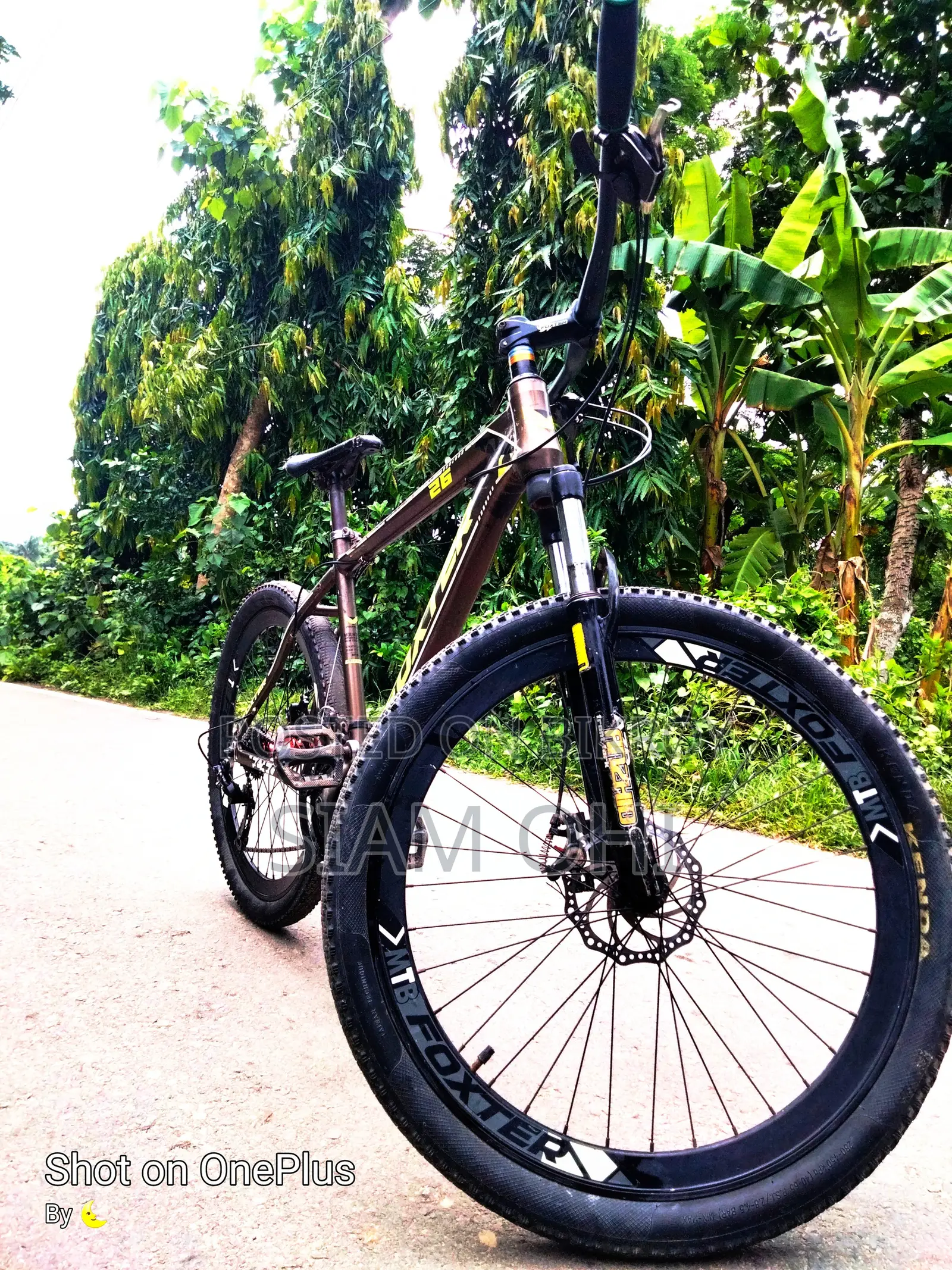 Gear Cycle