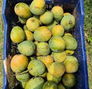 Good and delicious mangoes