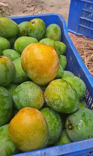 Good and delicious mangoes