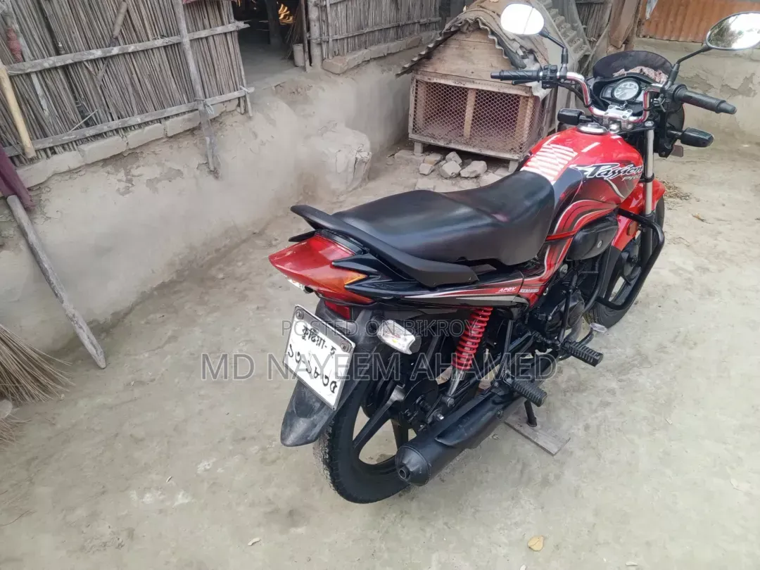 Hero Passion Pro 2012 Red