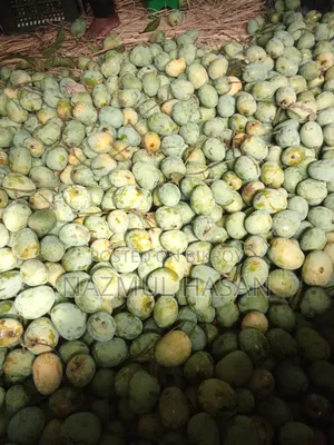 Rajshahi's Best Himsagar Mango