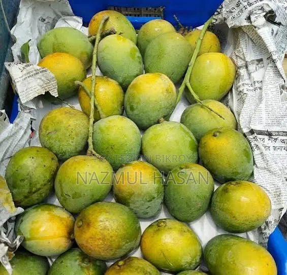 Rajshahi's Best Himsagar Mango