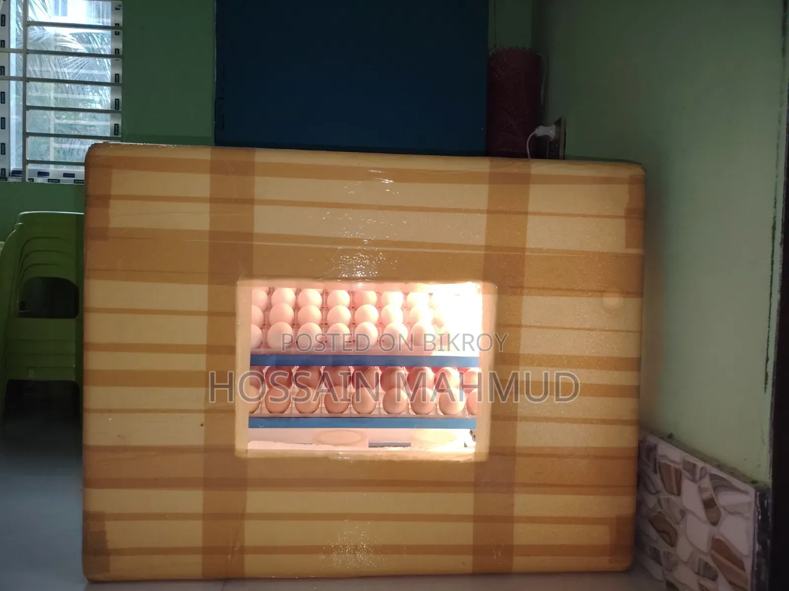 Incubator for Sale