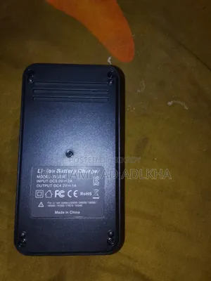 Lithium and Remote Battery Charger