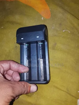 Lithium and Remote Battery Charger