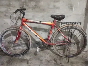 বাই সাইকেল