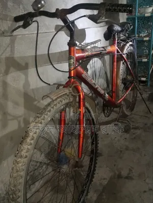 বাই সাইকেল