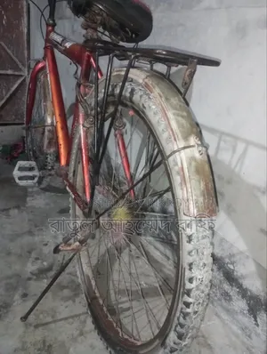 বাই সাইকেল