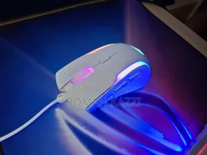 Modified Gaming Keyboard and Mouse