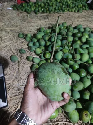 রাজশাহীর প্রিমিয়াম হিমসাগর আম