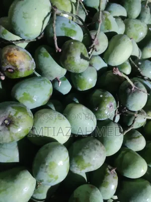 রাজশাহীর প্রিমিয়াম হিমসাগর আম