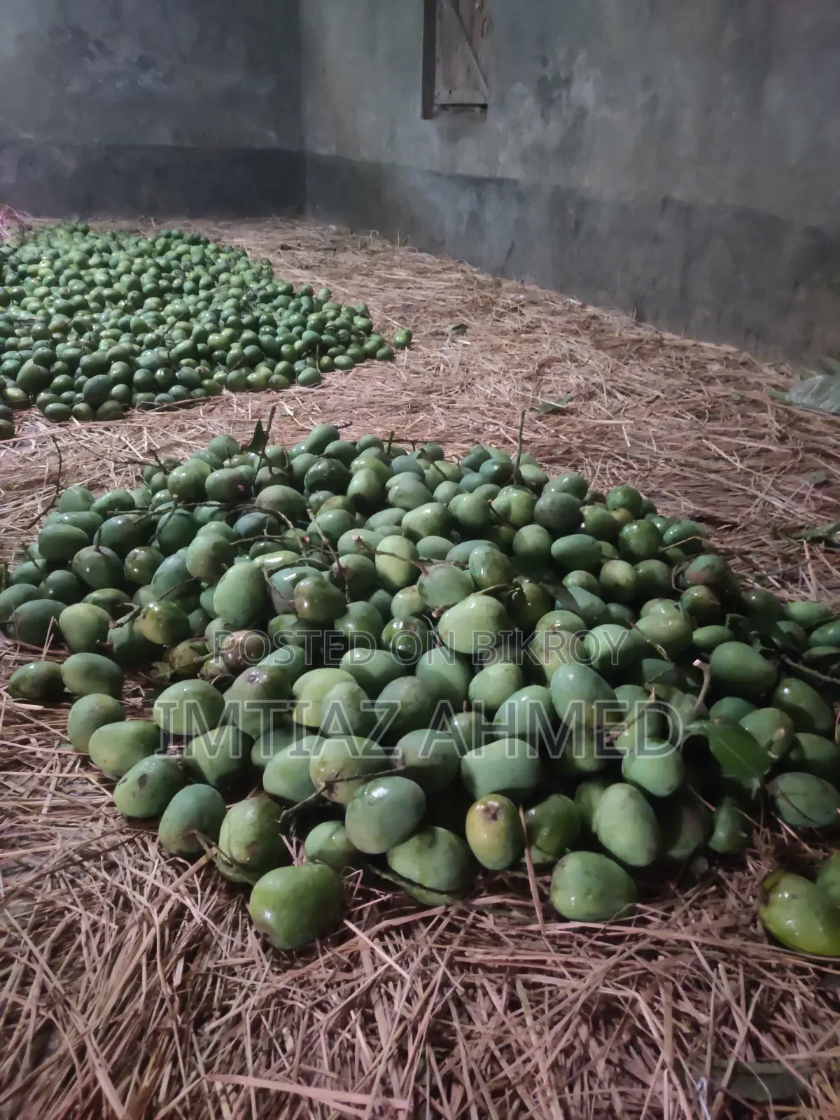 রাজশাহীর প্রিমিয়াম হিমসাগর আম
