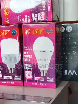AC / DC LED Bulb