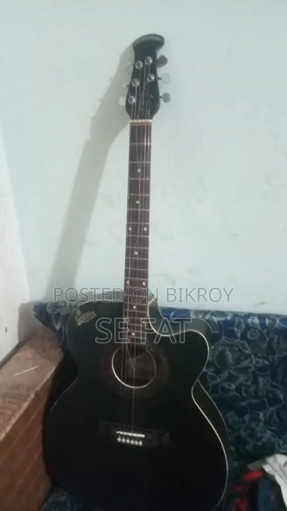 Signature Guitar
