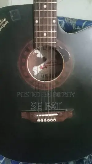 Signature Guitar