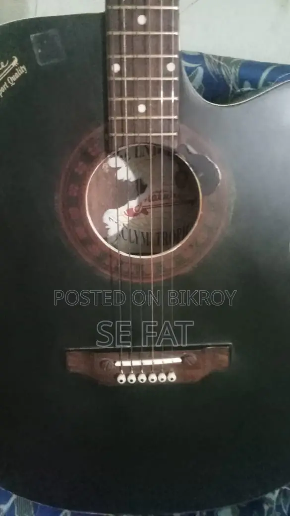 Signature Guitar