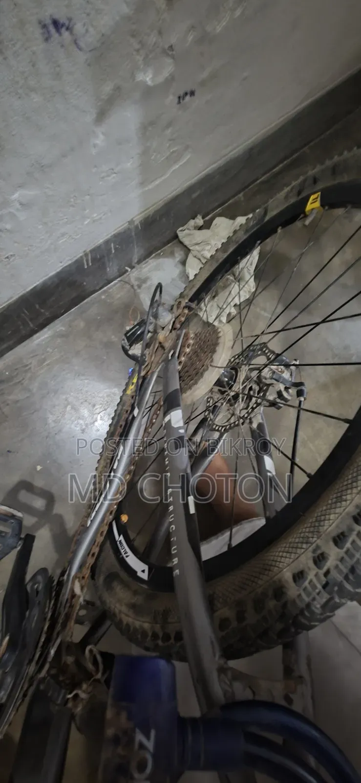 Falcon Cycle