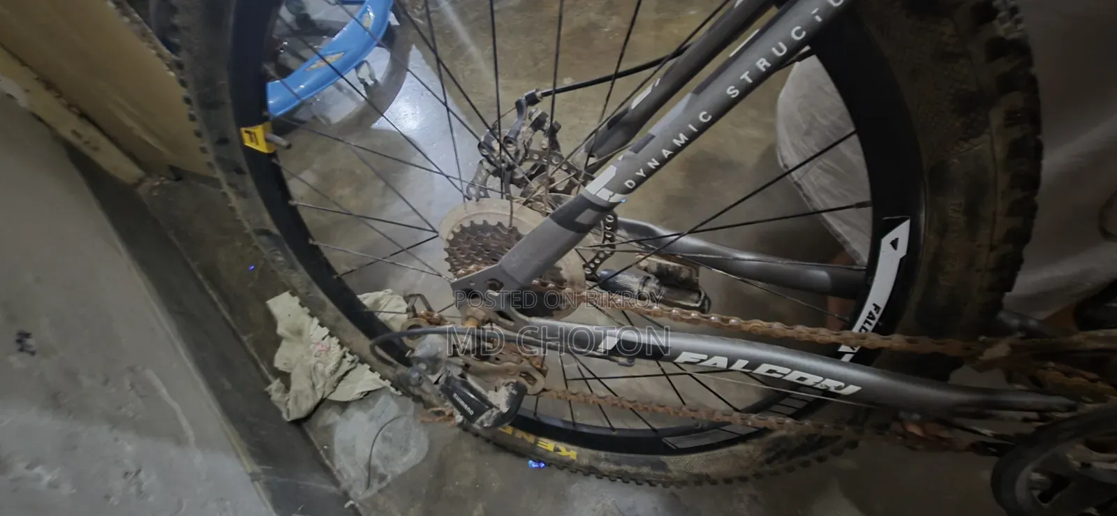Falcon Cycle