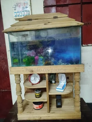Fish Aquarium