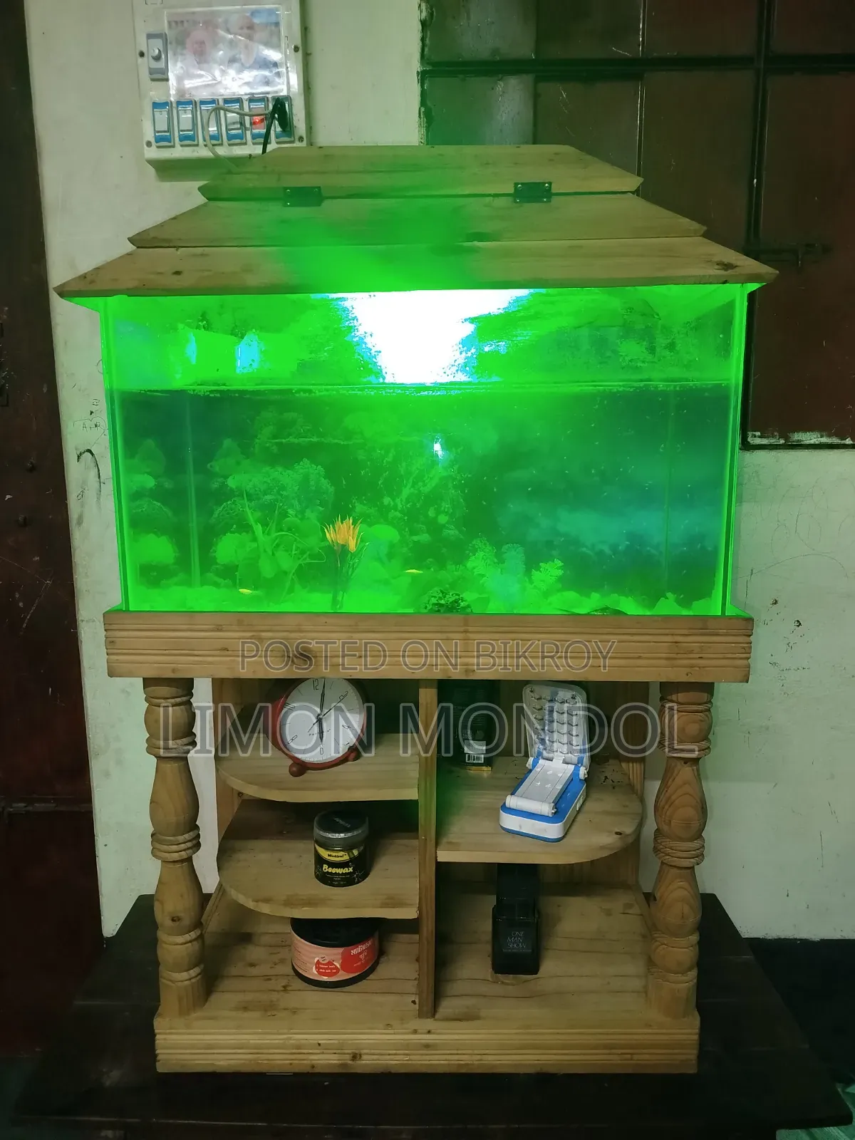 Fish Aquarium