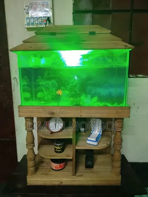 Fish Aquarium
