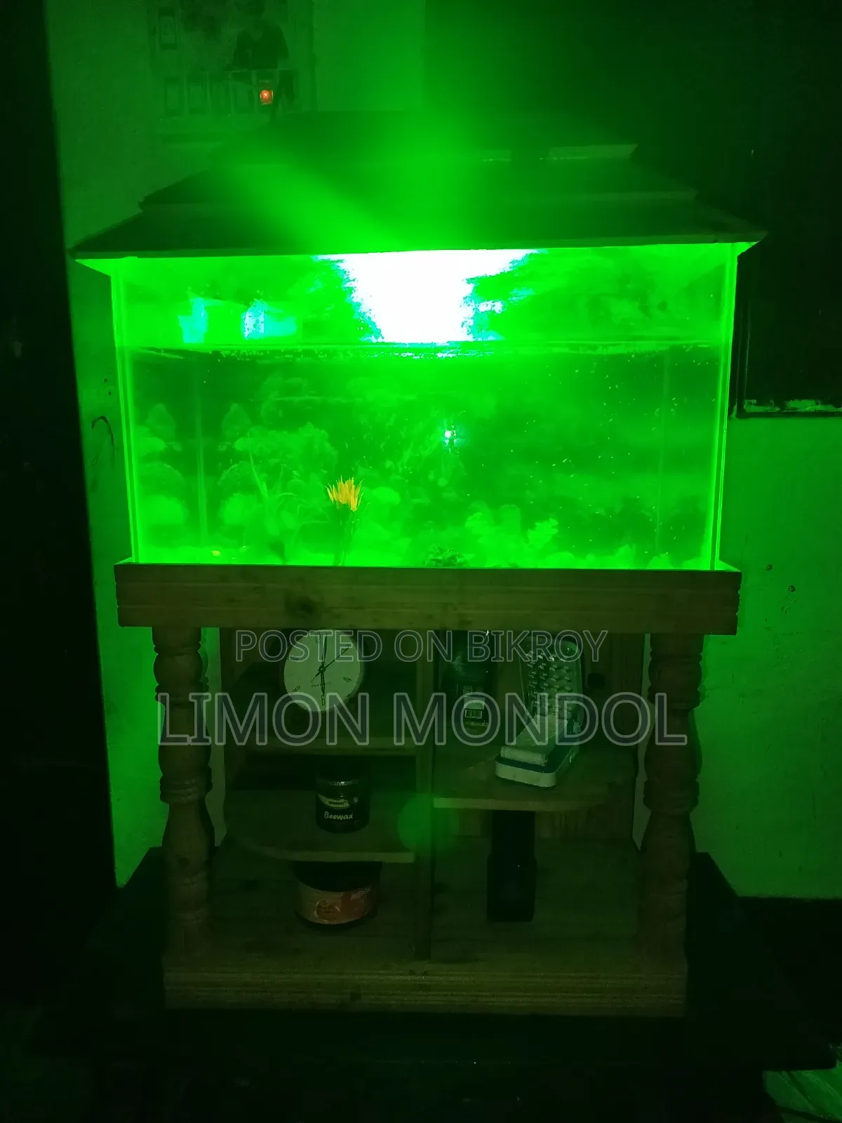 Fish Aquarium