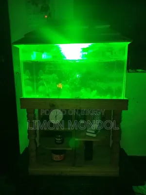 Fish Aquarium