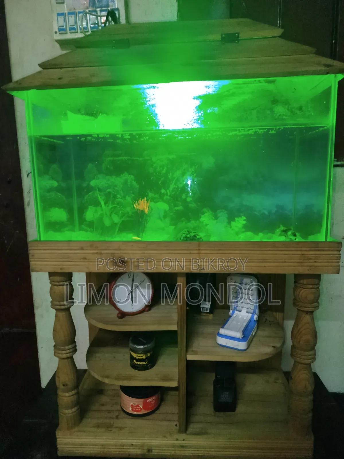 Fish Aquarium