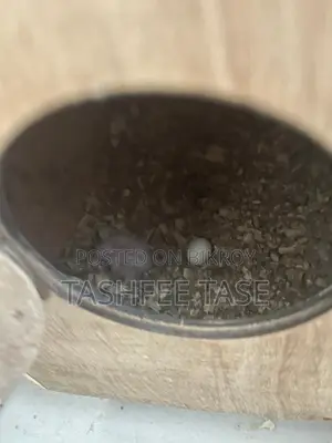 ককাটেল পাখি