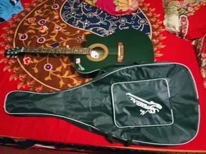 Guitar India 265 model