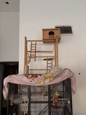 Wooden Bird Play Stand