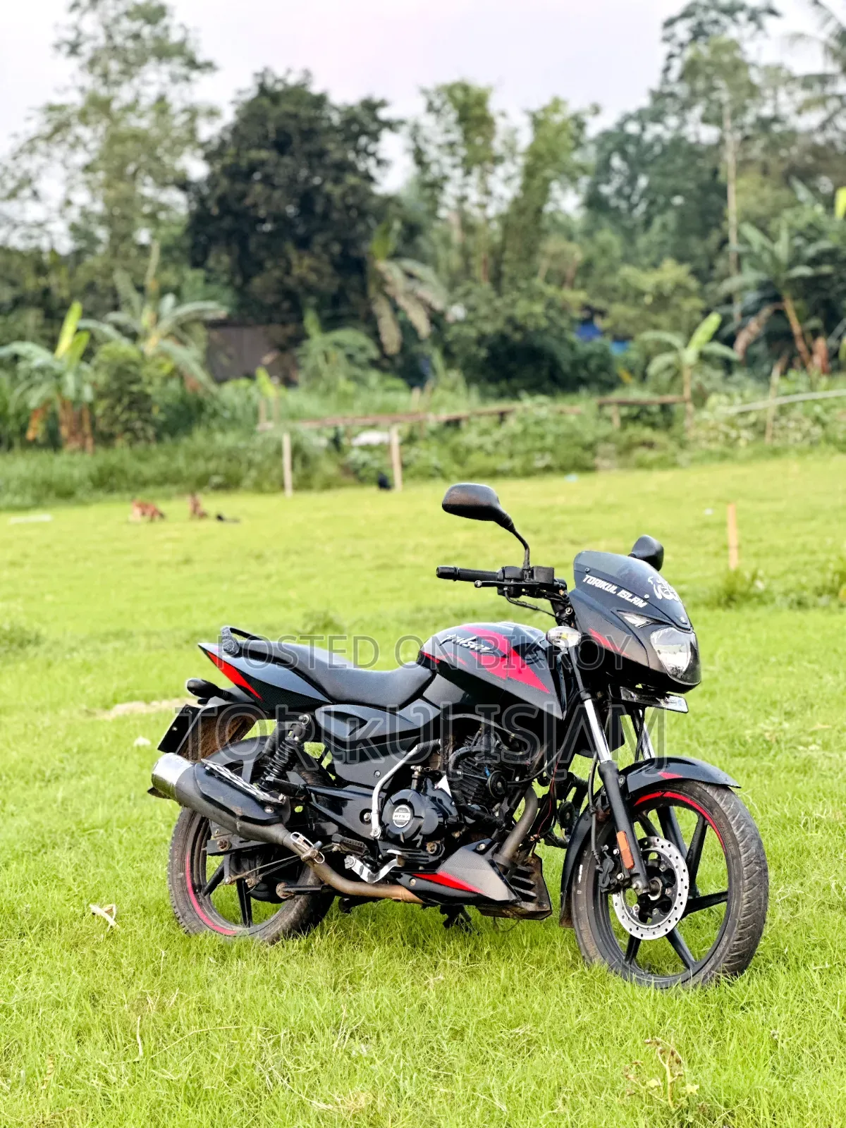 Bajaj Pulsar 150 2023 Black