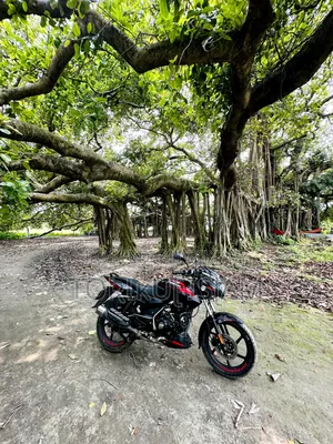 Bajaj Pulsar 150 2023 Black