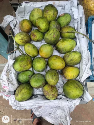Aam Himsagor