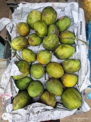 Aam Himsagor