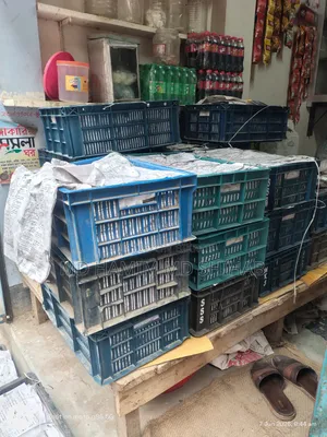 Aam Himsagor