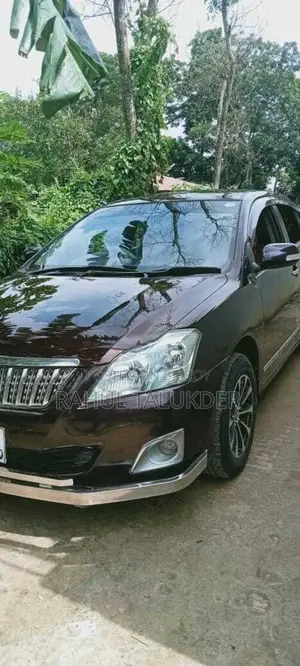 Toyota Premio 2011 Maroon