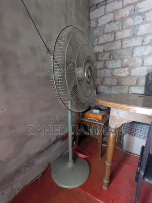 Stand Fan