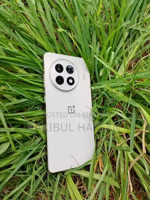 OnePlus 256 GB Silver