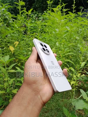 OnePlus 256 GB Silver
