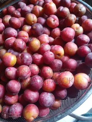 আলু বোখারা