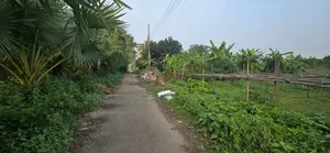 5 Katha North-facing plot for sale in Purbachal Sector 15, on a 54-foot road